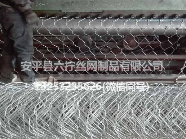镀锌拧花网 (1)
