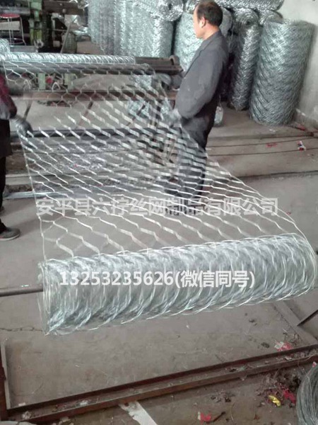 镀锌拧花网 (4)
