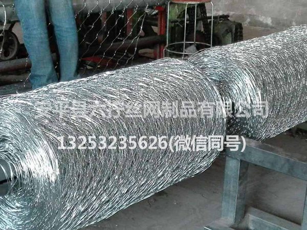 镀锌拧花网 (2)