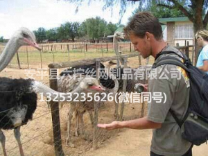 圈地圈山用网 (1)