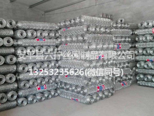 热镀锌六角网 (1)