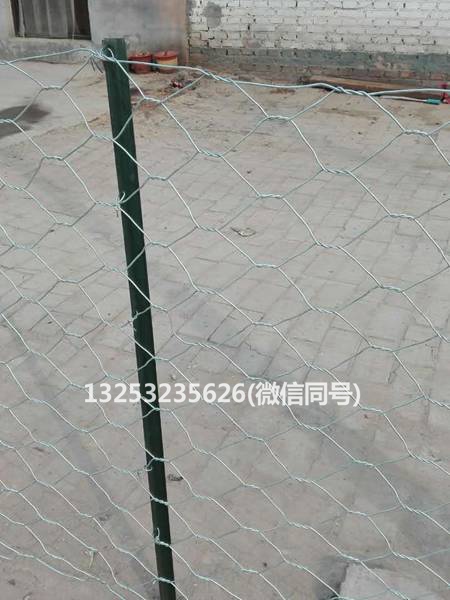 圈羊网专用立柱